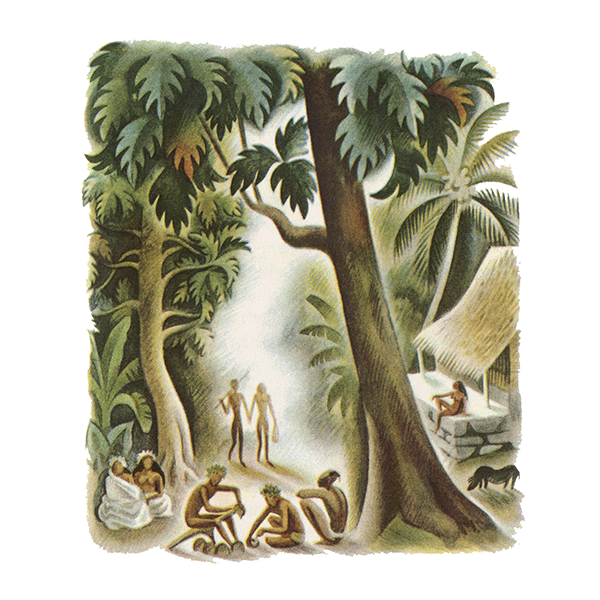 Miguel Covarrubias, Typee