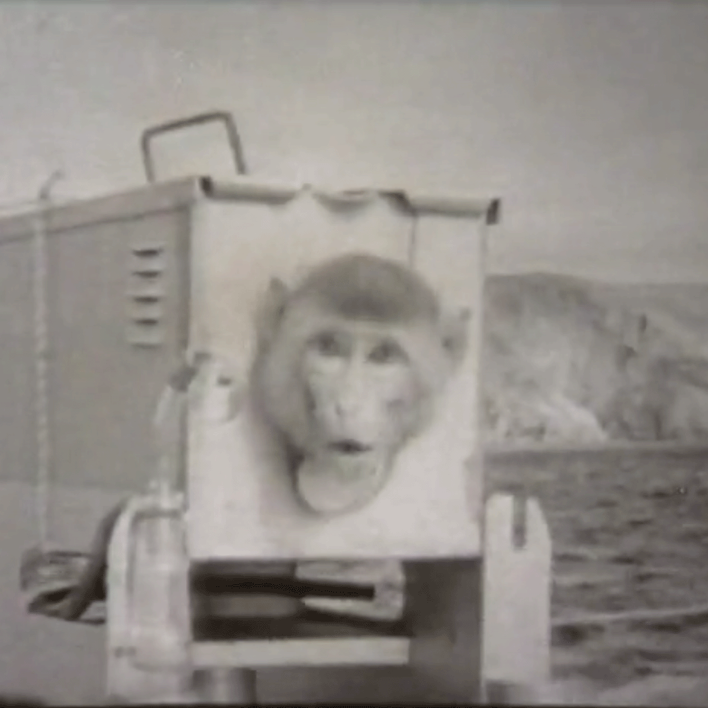 Film still from "Operation Cauldron 1952"