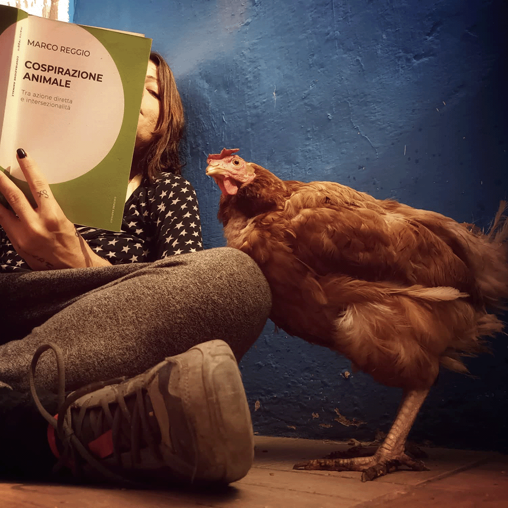 “Angela e Gina” from the Rifugio Antispecista Grugno Clandestino reading Reggio's Cospirazione Animale