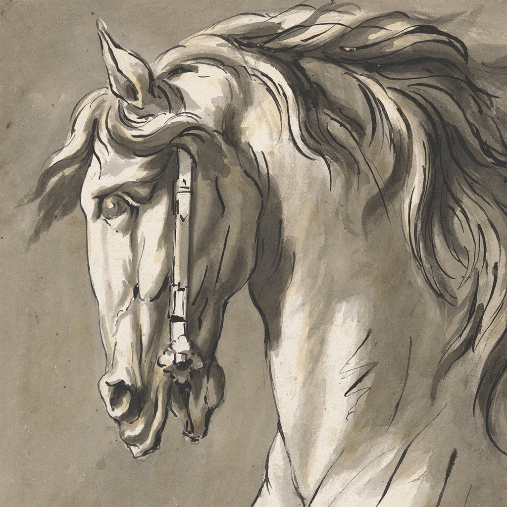 John Michael Rysbrack, 1694–1770, Flemish, active in Britain (from 1720), Study of a Horse's Head, undated, Black ink, gray and brown wash over graphite on medium, slightly textured, cream wove paper, Yale Center for British Art, Paul Mellon Collection, B1981.25.2688.